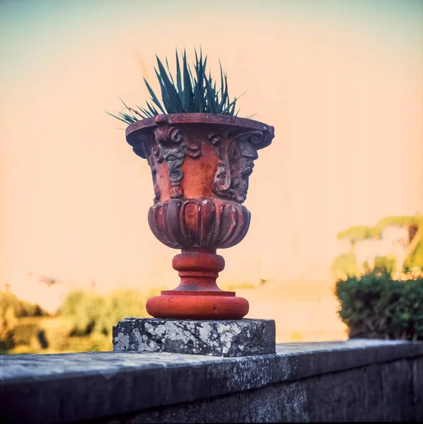 Terracotta Vase Boboli Gardens Florence — Fotografia de Stock