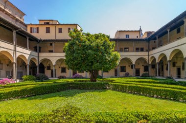 Tuscany 'de güneşli bir bahar gününde manastırın avlusundaki acı portakal ağacı.
