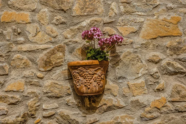 Terakotový Hrnec Typickými Květy Jeřábů Castiglione Della Pescaia Toskánsku — Stock fotografie