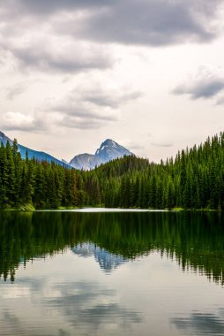 Jasper Ulusal Parkı 'ndaki Maligne Gölü yakınlarındaki Moose Gölü' ne yansıyan bir dağ.