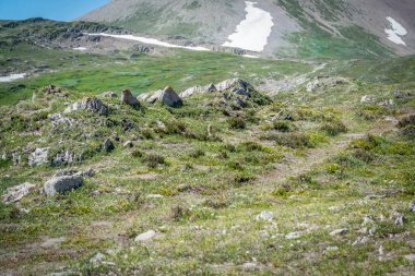 Jasper Ulusal Parkı 'ndaki Wilcox Geçidi' ne giden yolda Athabasca Buzulu manzaralı Kolombiyalı bir yer sincabı.