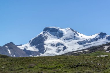Jasper Ulusal Parkı 'ndaki Wilcox Geçidi' nde Athabasca Buzulu manzaralı yürüyüş.