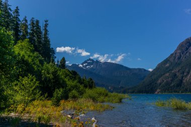 Yazın Vancouver Adası 'ndaki Strathcona İl Parkı' ndaki Buttle Gölü manzarası