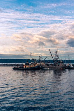 Yazın günbatımında Vancouver Adası 'ndaki Campbell Nehri' nin limanı.