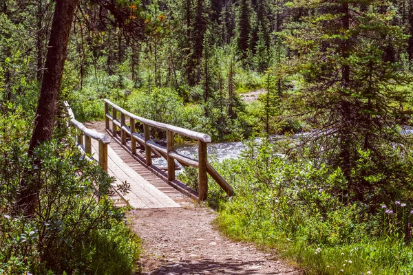 A wooden bridge on the hike to Lake Annette in Banff National Park