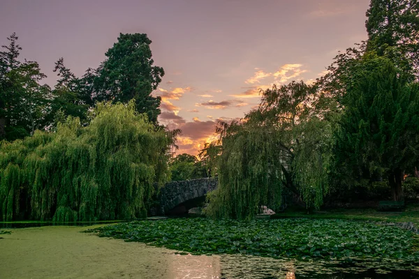 Colorido Atardecer Beacon Hill Park Puente Victoria Columbia Británica — Foto de Stock