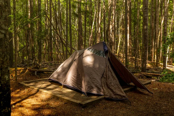 Egy Magányos Sátor Vad Erdőben Buttle Partján Kanadai Strathcona Tartományi — Stock Fotó
