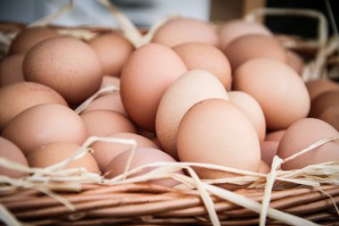 Sepetteki yumurtalar