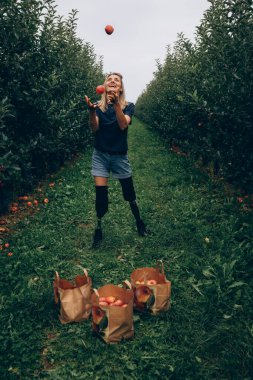 Protezli engelli kadın elma toplayarak hokkabazlık yapıyor..