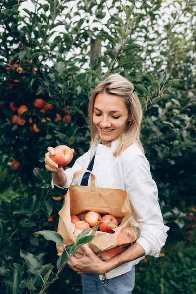 Belle femme recueille des pommes dans un sac en papier. Photos De Stock Libres De Droits