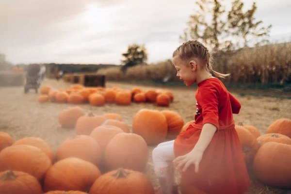 Büyük balkabaklarıyla çevrili mutlu küçük kız.