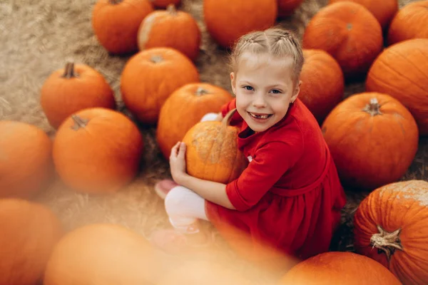 Mutlu kız elinde koca bir balkabağı tutuyor..