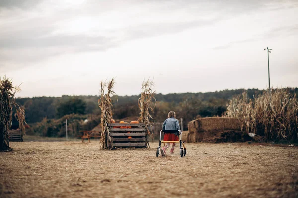 Une fille handicapée avec un fauteuil roulant marche sur un champ de citrouille. Photo De Stock