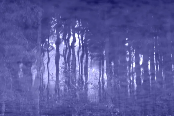 Sudaki ağaçların yansıması.