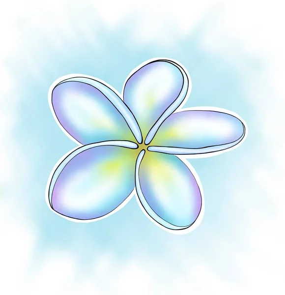 Flor dibujada Plumeria. Frangipani sobre un fondo abstracto azul —  Fotos de Stock