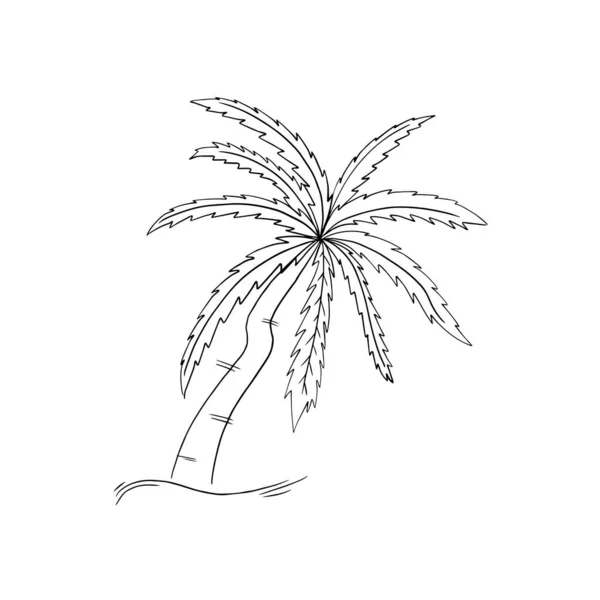Векторне зображення. Пальмове дерево. Чорна лінія малювання — стоковий вектор