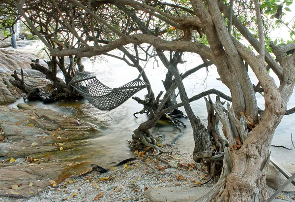 Stenig strand — Stockfoto