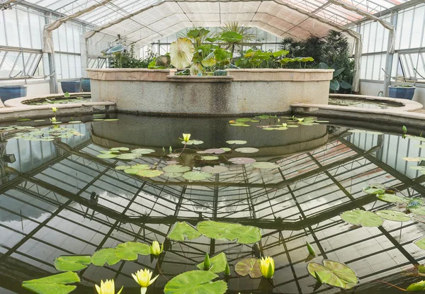 Greenhouse for lotus flower — Stock Photo, Image