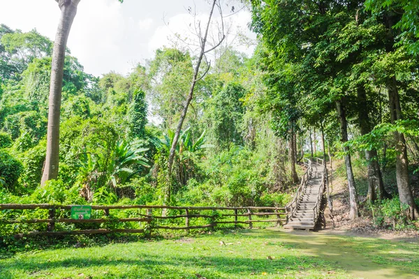 Passerella in legno nella foresta di Chiang Mai Thailandia — Foto Stock