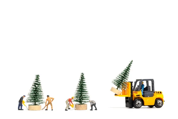 Personas Miniatura Trabajador Preparando Árbol Navidad Sobre Fondo Blanco Navidad — Foto de Stock