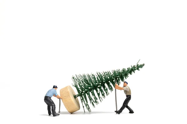 Personas Miniatura Trabajador Preparando Árbol Navidad Sobre Fondo Blanco Navidad —  Fotos de Stock