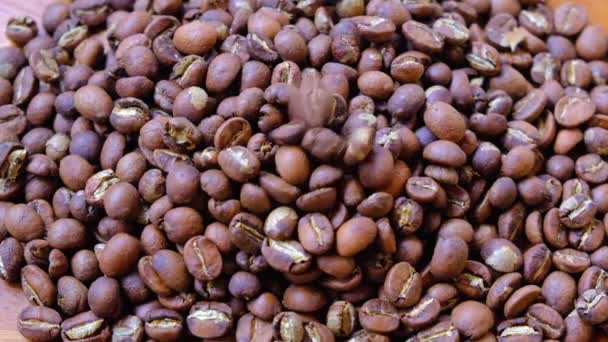 Lätta Rostade Kaffebönor Faller Träbakgrund Stockvideo