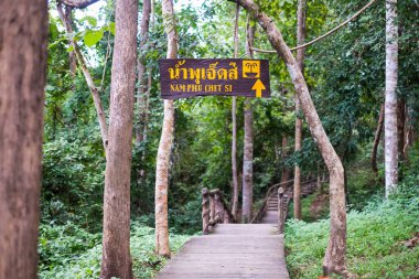 Bua Tanga Şelalesi ve Chet Si Vakfı Ulusal Park Chiang Mai, Tayland
