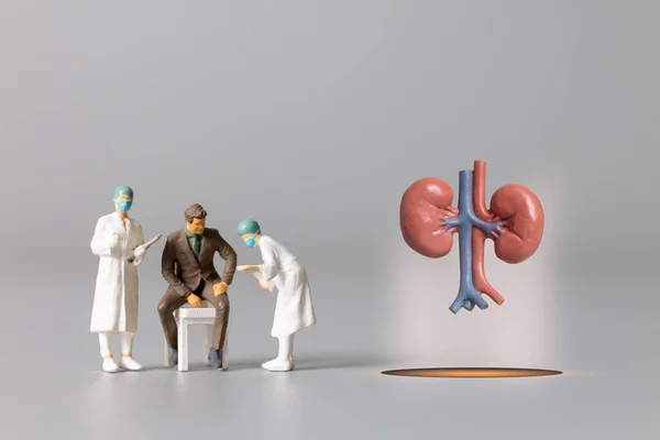 Miniature People Doctor Studying Treating Human Kidney World Health Day — Stock Photo, Image