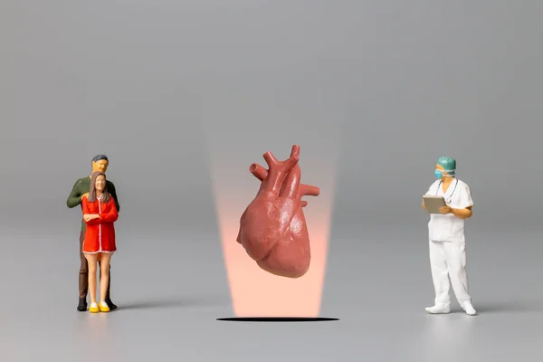Miniature People Doctor Studying Treating Human Heart World Health Day — Stock Photo, Image