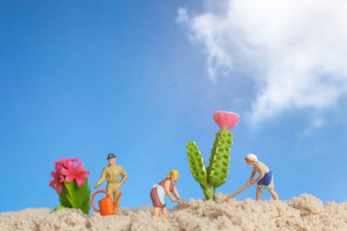 Minyatür insanlar, kaktüs bitkileri üzerinde çalışan bahçıvan, ev işleri hobisi.