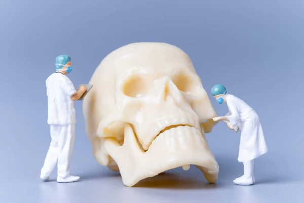 Miniature People Doctor Giant Human Skull Grey Background Science Medical — Foto Stock