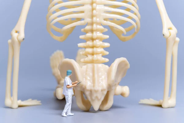 ミニチュアの人々灰色の背景に巨大な人間の骨を持つ医師 科学と医学の概念 — ストック写真