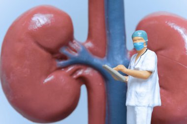 Minyatür İnsanlar Doktor, hasta böbrek sağlığı, bilim ve tıbbi kavramları analiz ediyor.