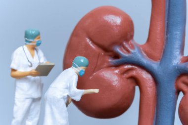 Minyatür İnsanlar Doktor, hasta böbrek sağlığı, bilim ve tıbbi kavramları analiz ediyor.