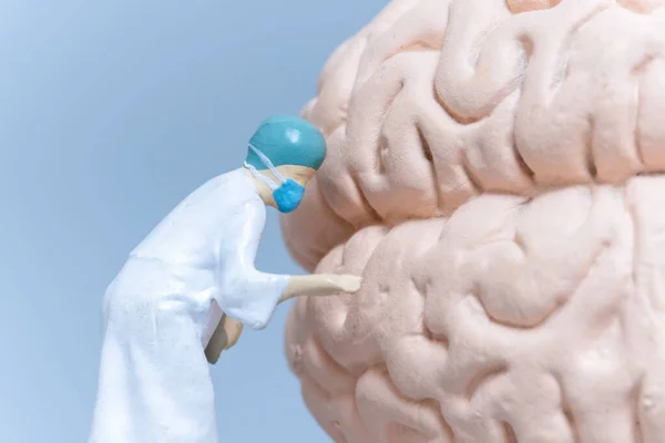 Personnes Miniatures Chirurgien Analysant Cerveau Patient Science Les Concepts Médicaux — Photo