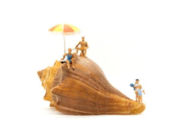 Minyatür insanlar mayo giyip beyaz arka planda deniz kabuklarında dinleniyorlar. Yaz Zamanı konsepti.