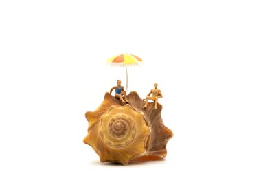 Minyatür insanlar mayo giyip beyaz arka planda deniz kabuklarında dinleniyorlar. Yaz Zamanı konsepti.