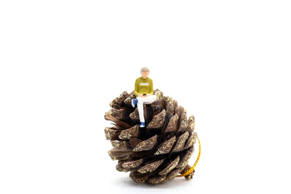 Miniature People Woman Wearing Headphones Listening Music Smartphone Sitting Pinecone — Fotografia de Stock