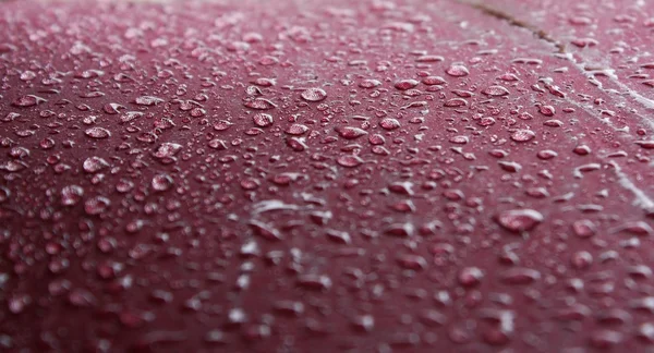 Gotas de lluvia macro — Foto de Stock