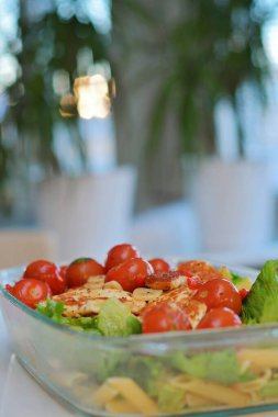 Kızarmış halloumi peyniri taze ev yapımı makarna salatası, aile için sağlıklı fast food. Öğle yemeği, akşam yemeği veya akşam yemeği için. Renkli malzemeler; avokado, nane, domates, marul, biber, İtalyan makarnalı sarımsak..