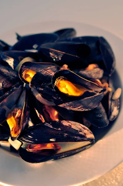 미식가들이 맛있는 해산물 이국적 홍합의 도자기 식기류로 식사를 식욕을 돋우는 — 스톡 사진