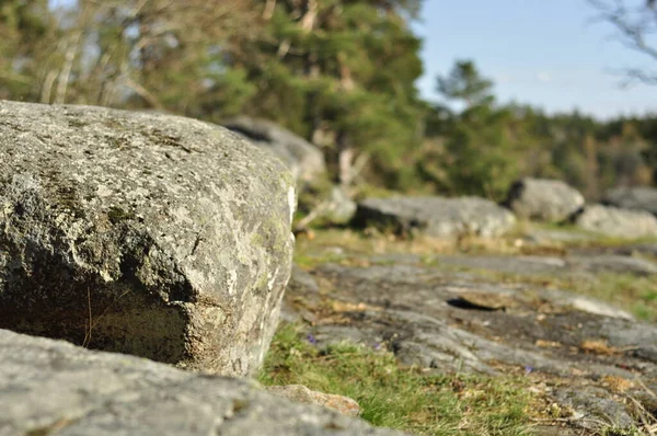 Peaceful Landscape Colorful Backgroud Water Grass Vectors Grow Hill Rocky — Stock Photo, Image