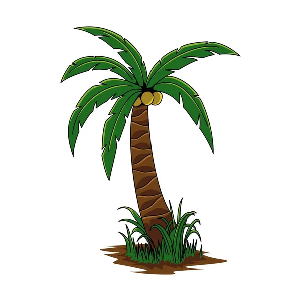 Vector Illustration Coconut Tree Isolated White Background Fit Sticker Graphic — Stock Vector