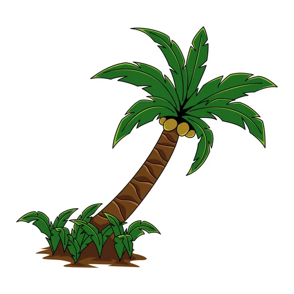 Vector Illustration Coconut Tree Isolated White Background Fit Sticker Graphic — 图库矢量图片