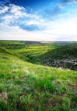 Güneş ve çiçeklerle manzara güzel bahar
