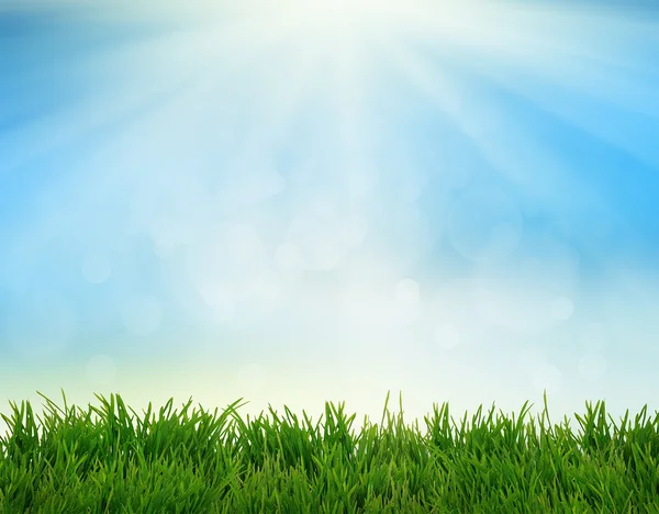 Natural grass background — Stock Photo, Image