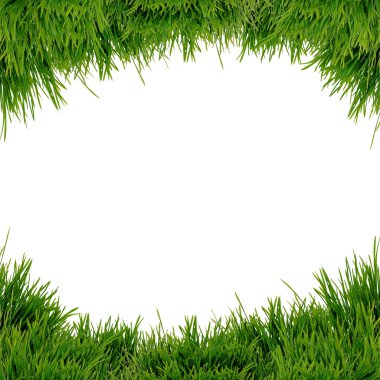 Beyaz arkaplanda yeşil çimen izole