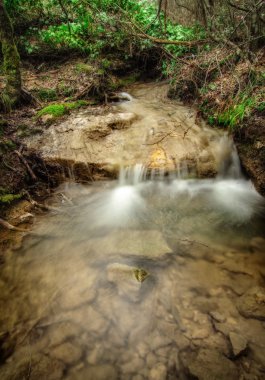 şelale orman, doğal arka plan