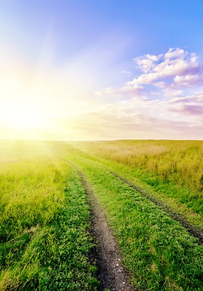 yol yeşil çim alanlar ve mavi gökyüzü bulutlu, n