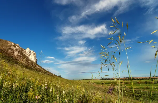 Summer landscape with chalk mountain, flowers and cloudy sky, na — Stock Photo, Image